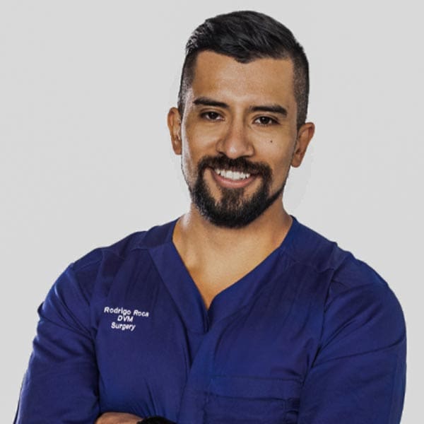 Dr Rodrigo Roca