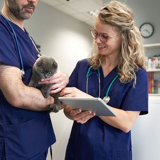 Emergency-and-Specialty-Veterinary-Care-in-Prosper-Frisco-TX