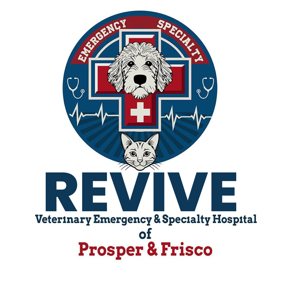 Veterinarian hospital open 24 7 Prosper Frisco