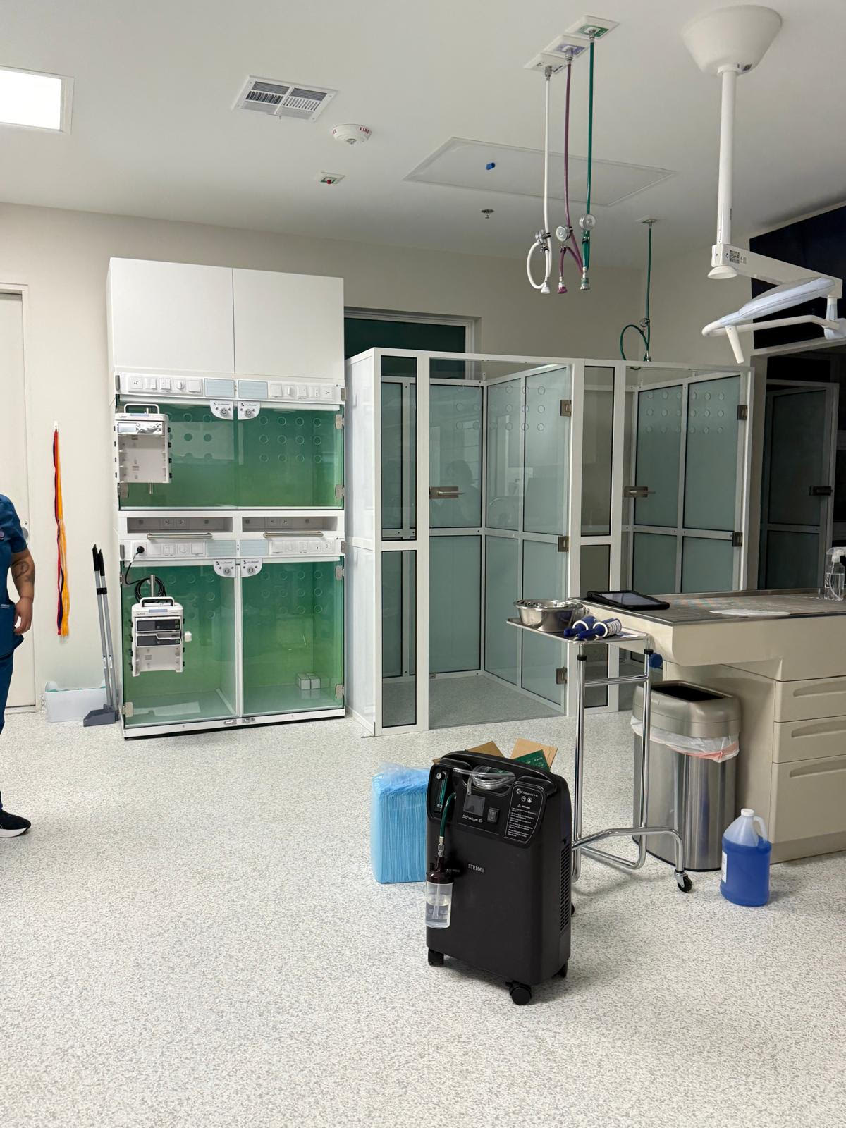 best-urgent-care-vet-prosper