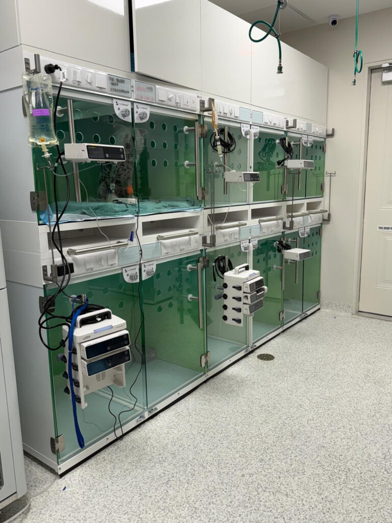 critical ICU for pets in Prosper