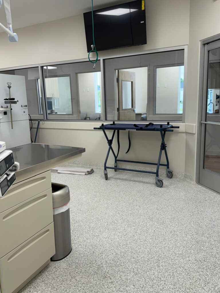 Top Vet for Critical Care