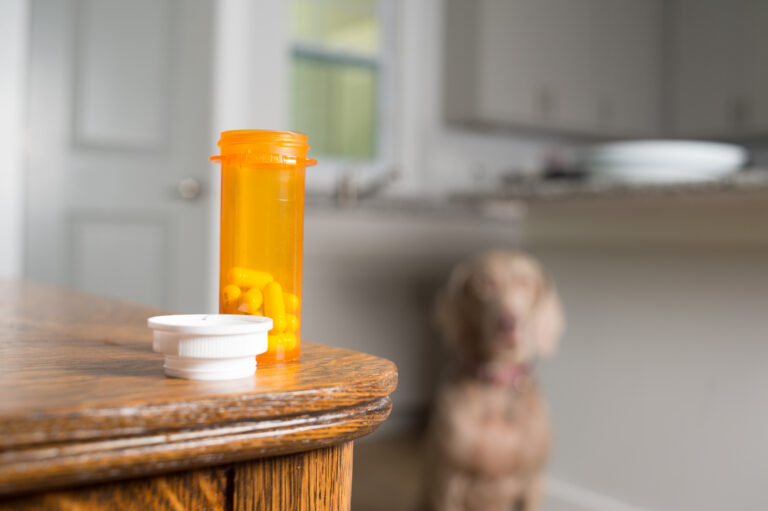 Dog in Background starting at Pills in Foreground