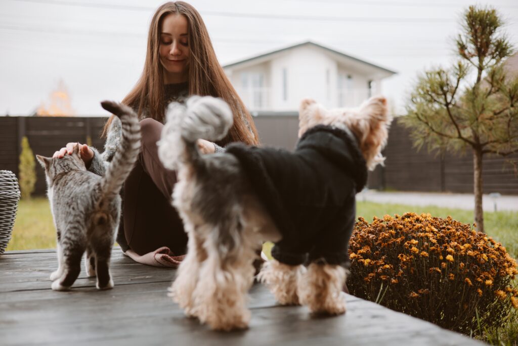 Why Prosper Pet Owners Choose Revive