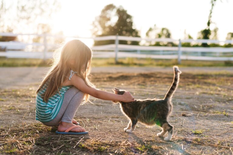 Girl and cat outside in the sun
